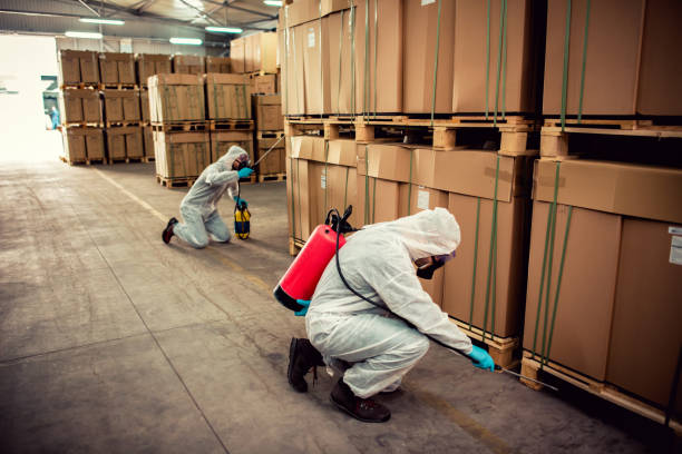 Best Mosquito Control Services  in Park Hill, OK