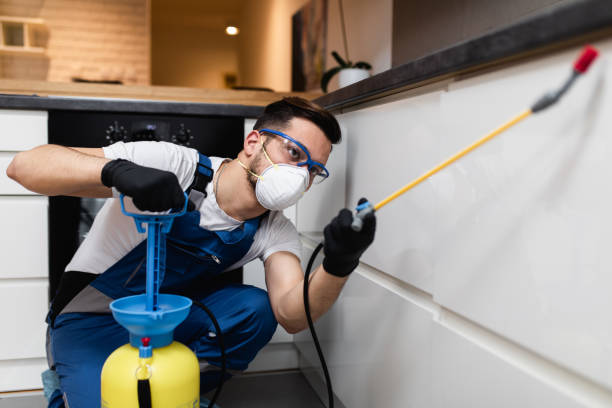 Best Emergency Pest Control  in Park Hill, OK