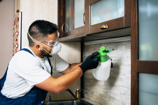 Best Best Pest Control Companies  in Park Hill, OK