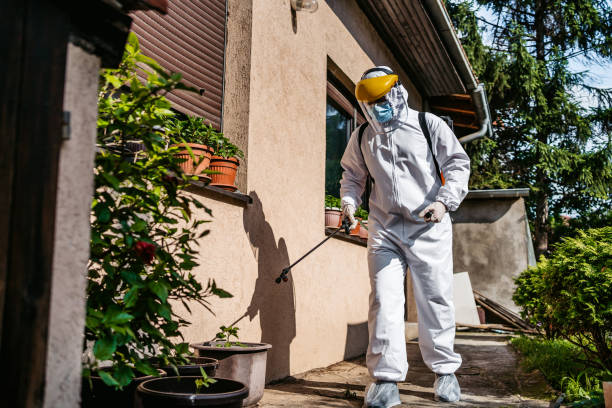Best Termite Control Services  in Park Hill, OK