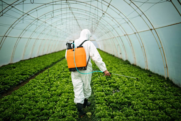 Best Affordable Pest Control Services  in Park Hill, OK