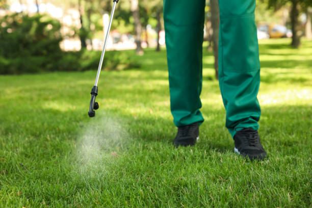 Best Wasp Removal Services  in Park Hill, OK