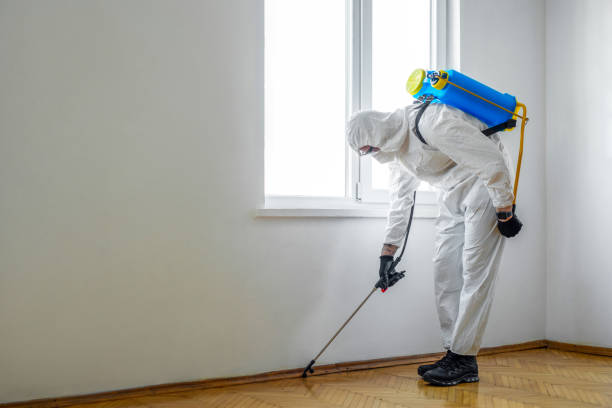 Best Wasp Removal Services  in Park Hill, OK