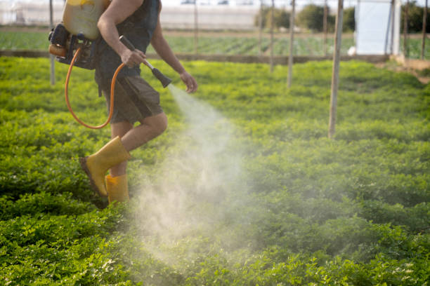 Best Residential Pest Control  in Park Hill, OK