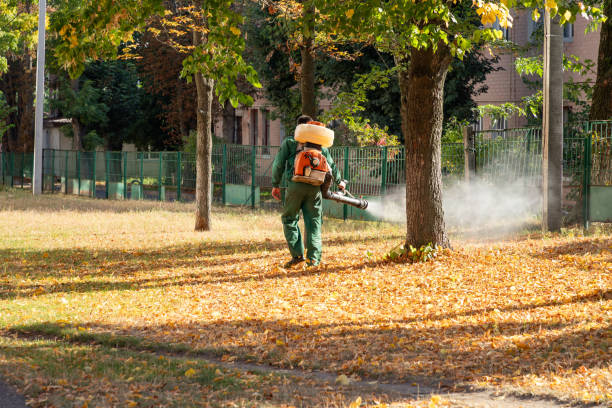 Best Mosquito Control Services  in Park Hill, OK