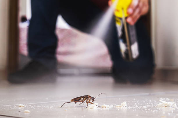 Best Exterminator Services  in Park Hill, OK