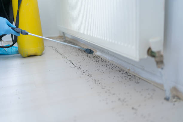 Best Pest Control Cost  in Park Hill, OK