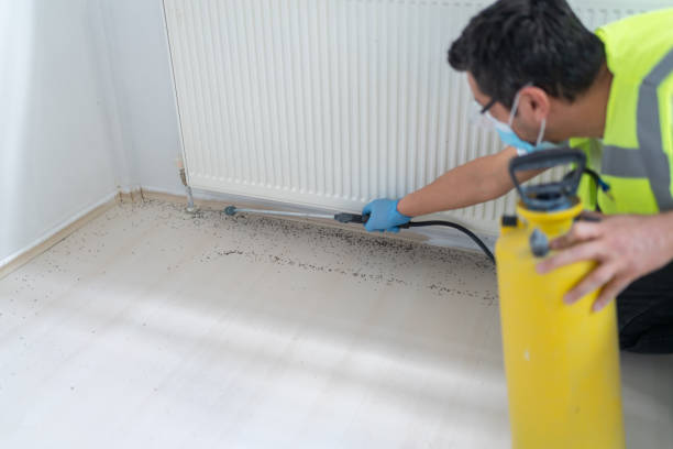 Best Ant Control Services  in Park Hill, OK