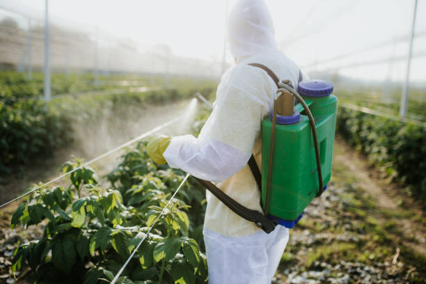 Pest Control Cost in Park Hill, OK